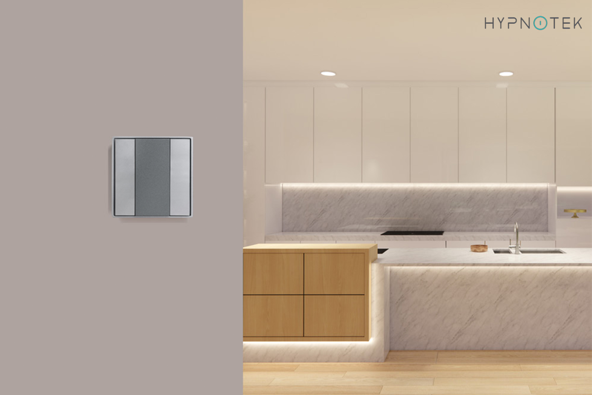 DALI 2 gang wall control panel