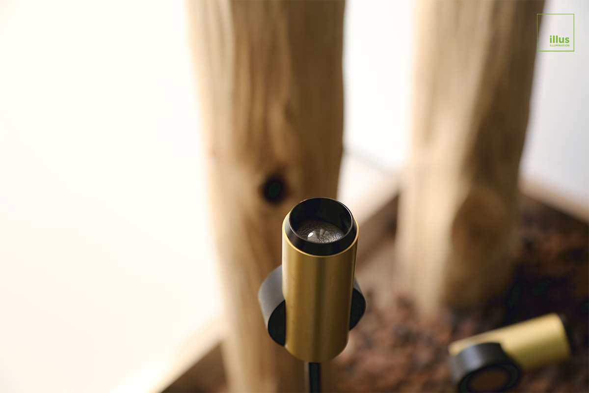 Warm 3000K Color Temperature