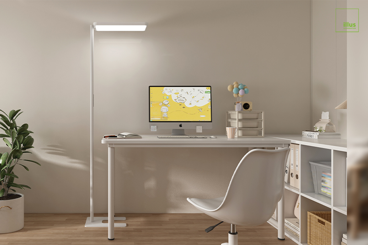 Uplight and Downlight 